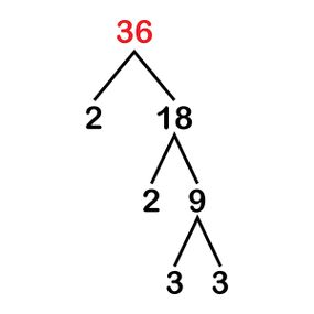 factor tree