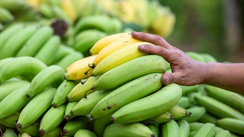Bananas