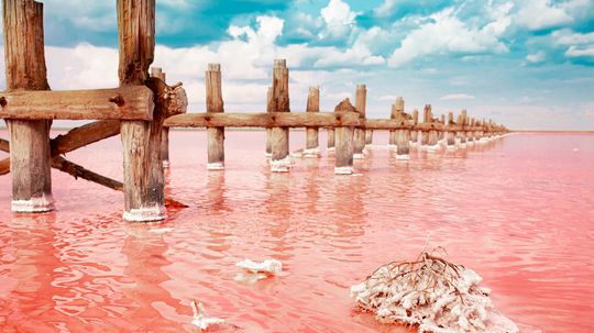 Lake Natron: Where Impossibly Salty Water Matches Flamingos
