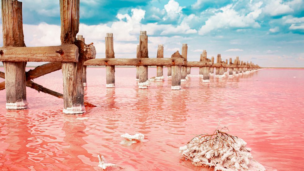 Lake Natron: Where Impossibly Salty Water Matches Flamingos