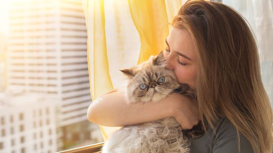 10 Most Affectionate Cat Breeds for Pet Parents Who Need Love Too