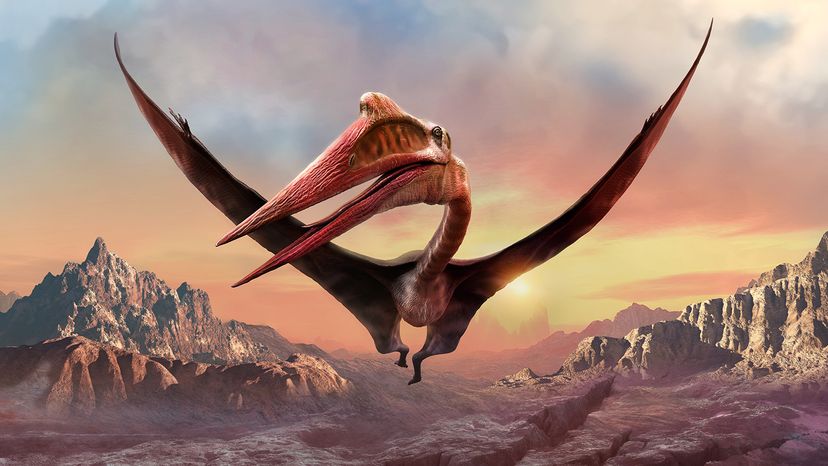 Quetzalcoatlus