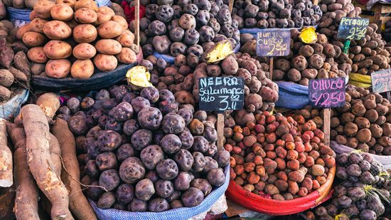 Where Do Potatoes Originate From? Not Ireland