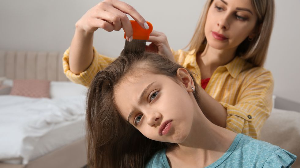 Where Do Lice Originate From? Pardon the Head-scratcher