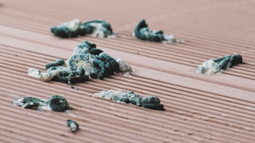 Bird droppings on vinyl balcony