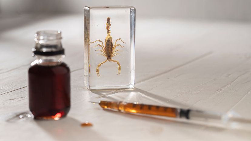 Scorpion Venom