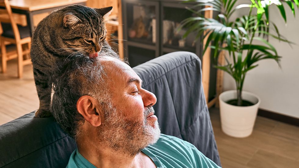 Why Does My Cat Lick My Hair? Does It Think I'm Not Clean?