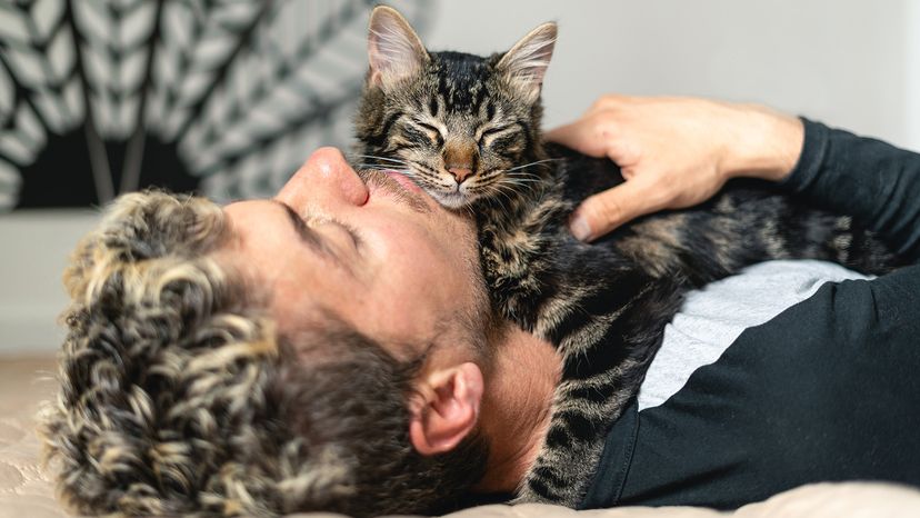 Cat sleeping on owner's head