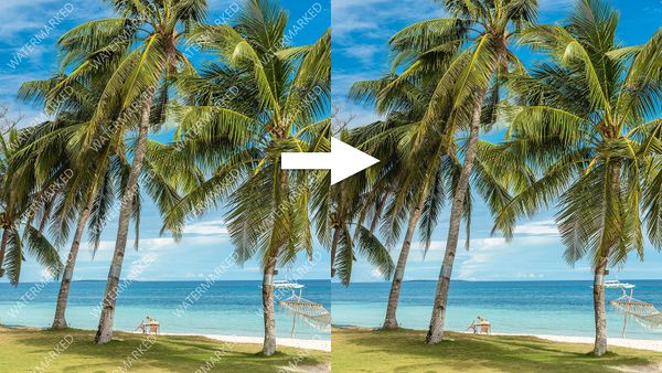Before and after example of AI watermark remover tool erasing watermarks from a photo of a beach