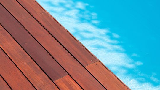 What's the Hardest Wood in the World?