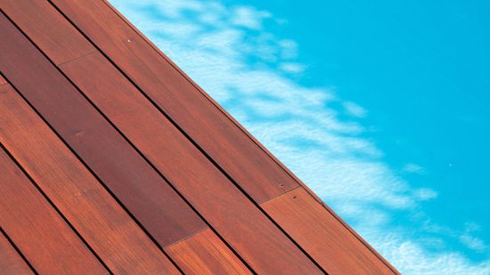 What's the Hardest Wood in the World?