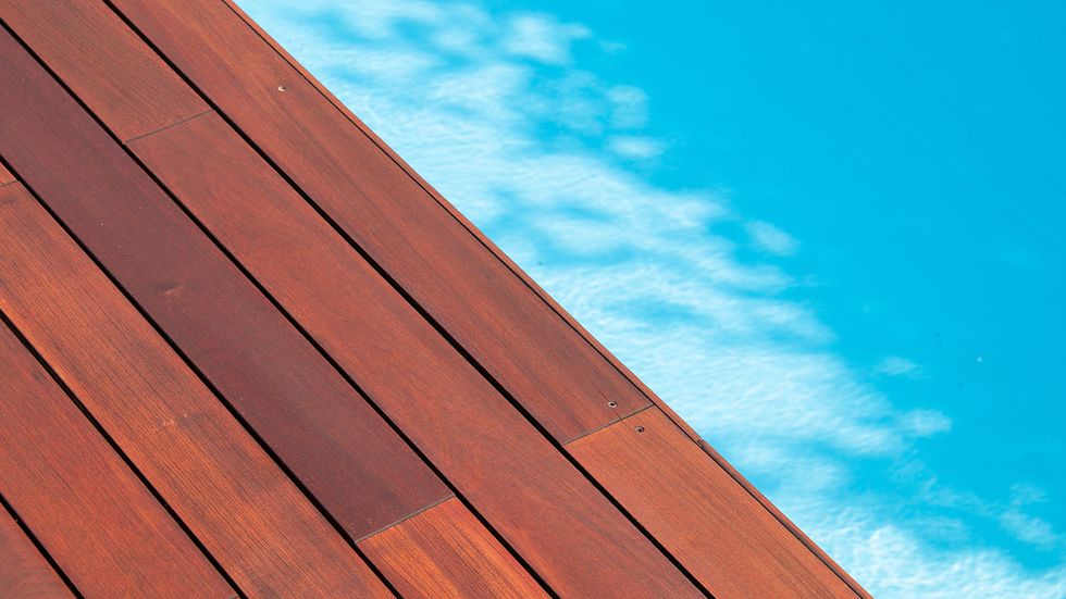 What's the Hardest Wood in the World?