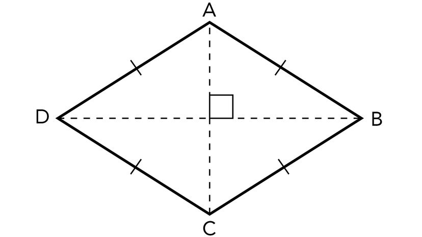 Simple drawing of a rhombus with the sides and diagonals marked