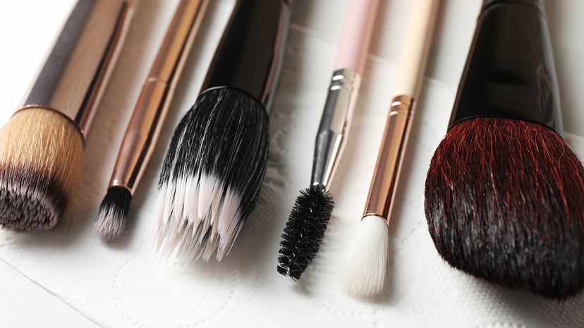 makeup brushes lying flat on a paper towel