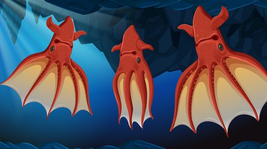 The Vampire Squid Doesn't Drink Blood and Isn't a Squid