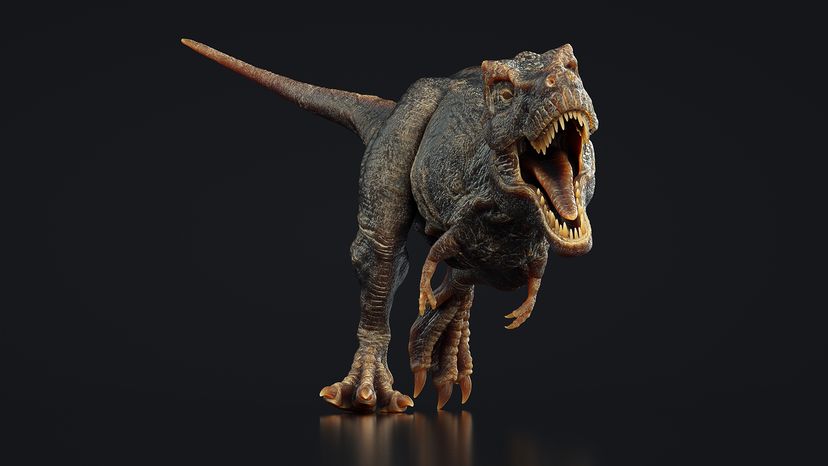 dinosaur
