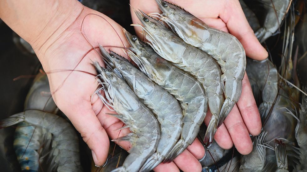 Prawns vs. Shrimp: What's on Your Plate?