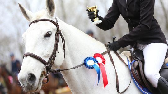 The Most Expensive Horse Ever Sold for $70M