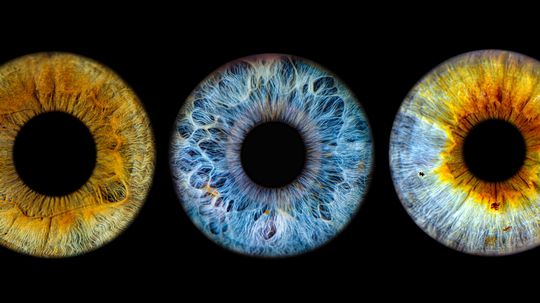 Eye Color: Percentage of the World Population With Each Shade