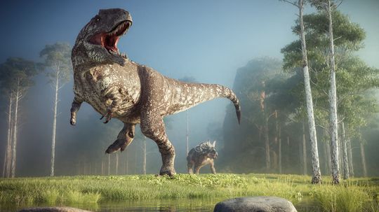 Giganotosaurus vs. T. rex: Two Dinosaurs With Big Reputations