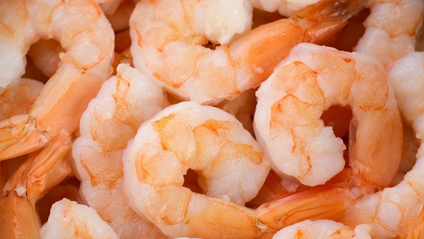 Shrimp