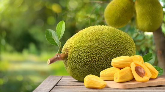 Durian vs. Jackfruit Taste and Texture Comparisons