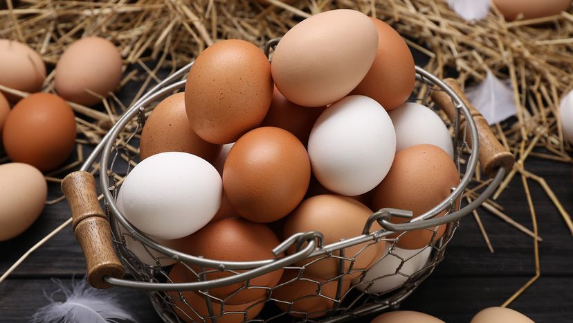 eggs