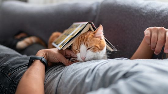 Why Does My Cat Sleep on Me? It's Adorable ... but Why?