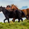 Where Do Horses Originate From? Not Europe, Not Asia