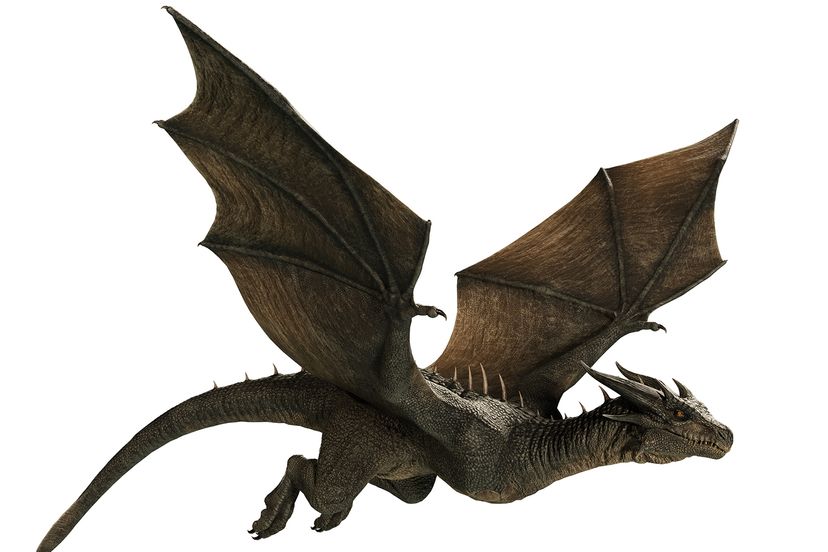 Wyvern