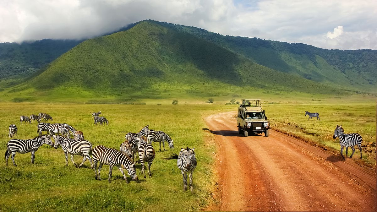 8 Best Countries for Safari Adventures