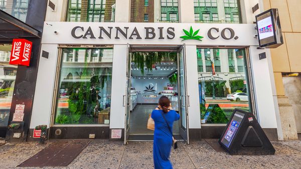 12 Weed-Friendly States for Both Recreational and Medical Use