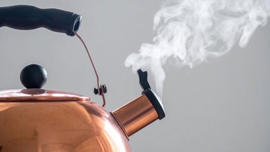 What Is a Group of Hawks Called? It's About the Shape They Take in Flight