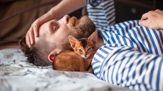 Why Does My Cat Sleep by My Head?