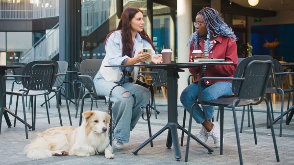 7 Most Dog-friendly Cities in the U.S. (Spoiler: West Coast Wins)