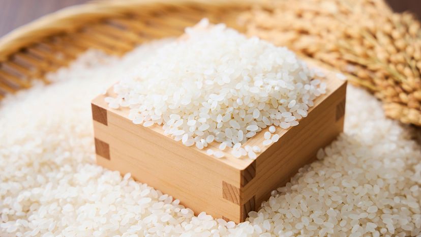 Short grain rice