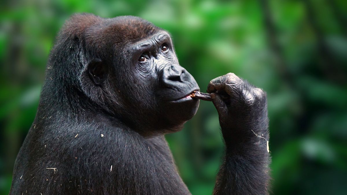 3 (or 4) Countries That Start With R