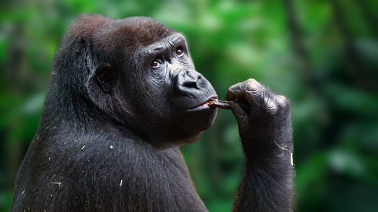 3 (or 4) Countries That Start With R