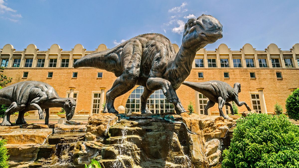 10 Things to Do in Atlanta With Kids (and Easy Day Trips to Add)