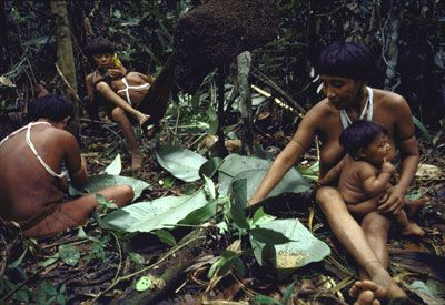 Members of the Yanomami tribe in the Amazon cooking termites in a banana leaf.