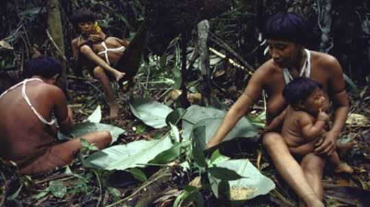 How do I know if termites are eating my house?