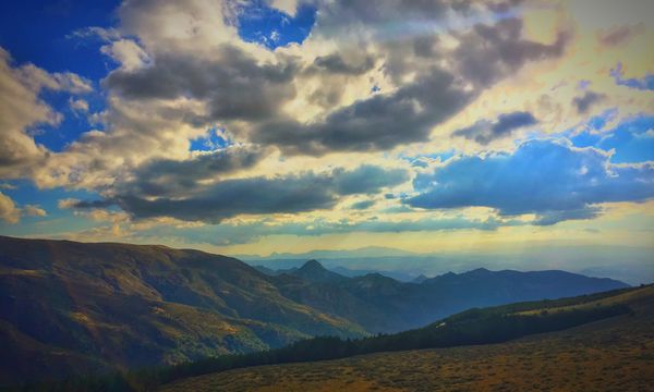 Majestic mountain forest naturescape.