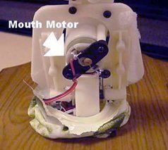 This electric motor is used to move the jaws and simulate the singing.
