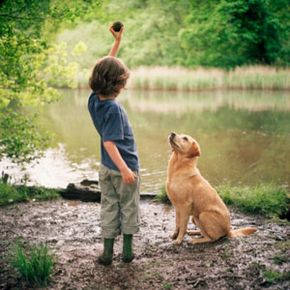 Boy playing with dog near lake.