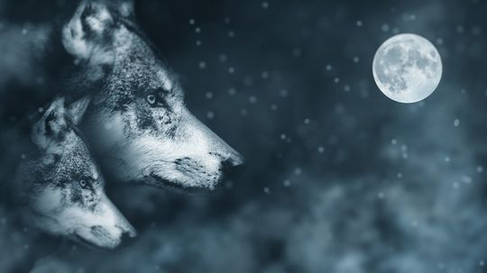 Skinwalkers Are Shapeshifting Witches in Navajo Folklore