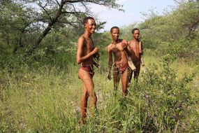 san bushmen