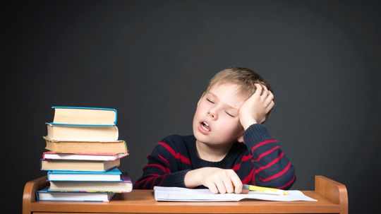 Does sleeping after learning make you smarter?