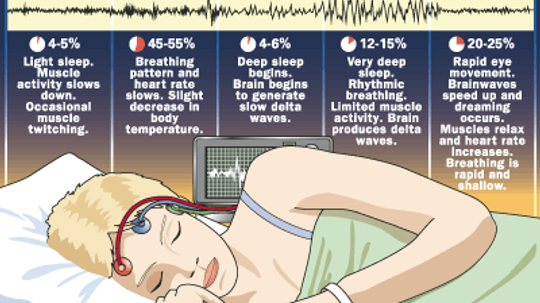 18新利最新登入睡眠是如何工作的”width=