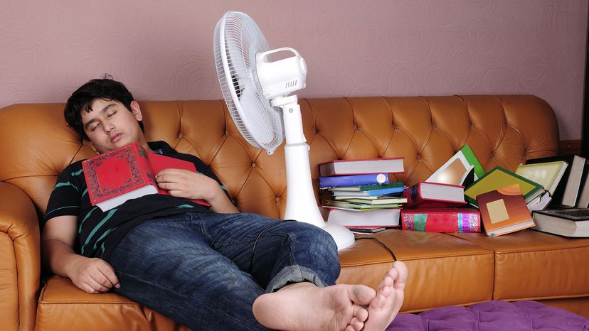 man sleeping with fan on