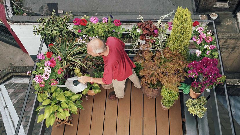 Container gardening